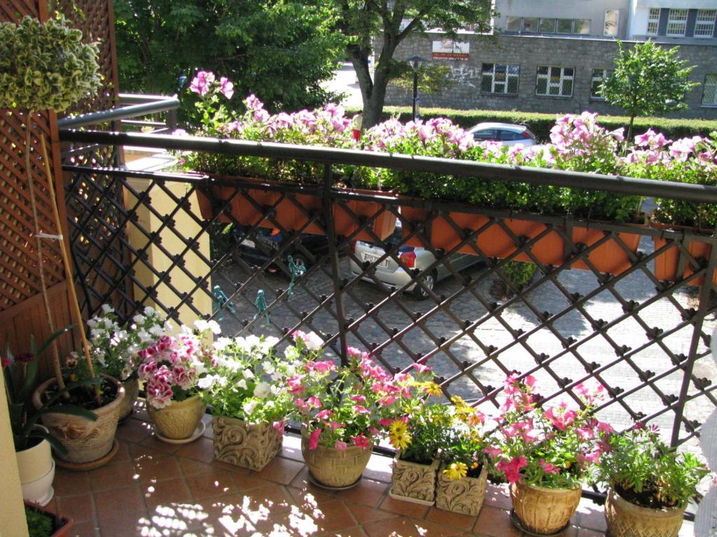 Апартаменты Patio Mare Amber Сопот Экстерьер фото